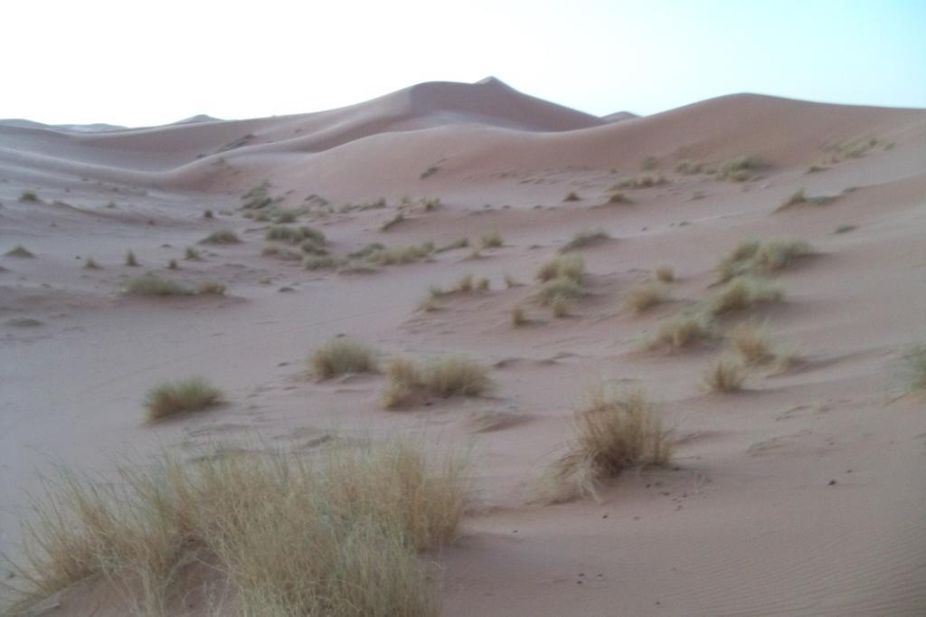 Kasbah Tamariste Bed & Breakfast Merzouga Dış mekan fotoğraf