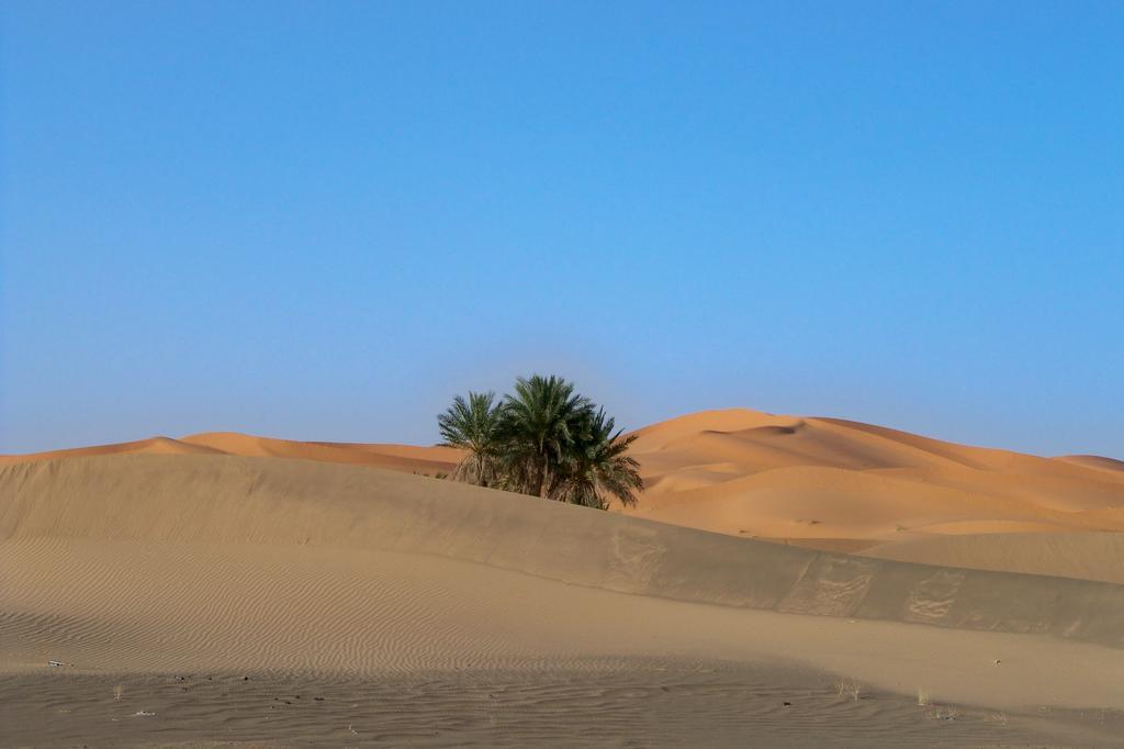 Kasbah Tamariste Bed & Breakfast Merzouga Dış mekan fotoğraf