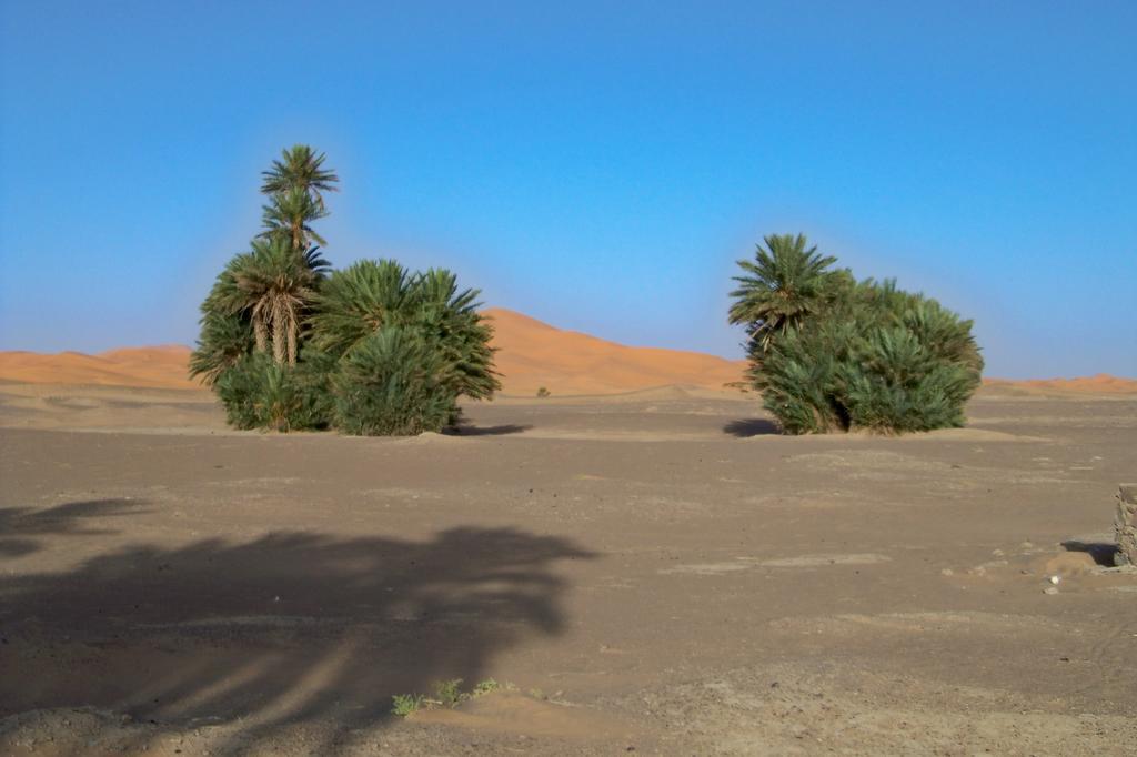 Kasbah Tamariste Bed & Breakfast Merzouga Dış mekan fotoğraf